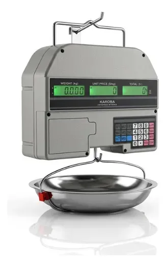 Balanza Digital Electronica 30Kg |T028