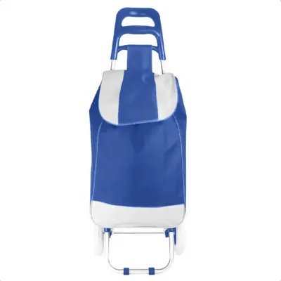 Carrito De Compras Plegable 30kg | IST1041 - OFERTA🥇