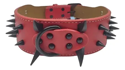 Collar con Púas para Perros