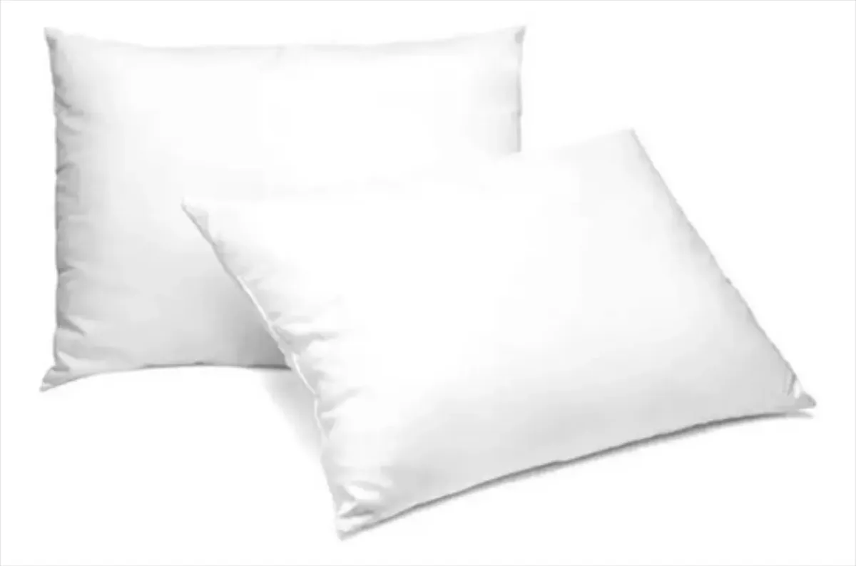 Pack De 2 Almohadas 50×65cm | C3167
