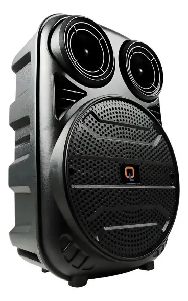 Parlante Bluetooth QL-602 con Micrófono Karaoke de 6,5 Pulgadas