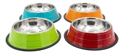 Plato de Comida para Mascotas de Acero Inoxidable de 22 Cms.