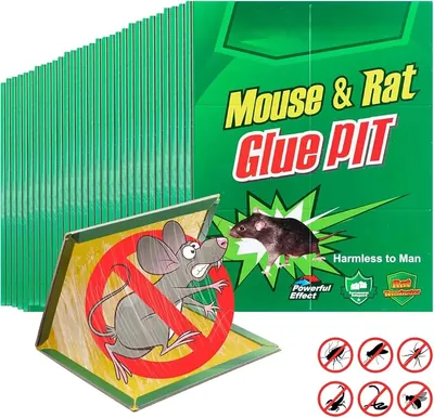 Trampa de Pegamento para Ratón de 20 cms.