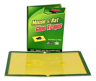 Trampas Para Ratones Con Pegamento | IST01325